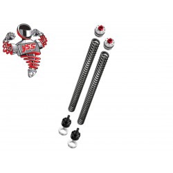 Κιτ Αναβάθμισης Πιρουνιού Honda Forza 300 2018-2020 (L20) YSS Κιτ Αναβάθμισης Πιρουνιού Honda Forza 300 2018-2020 (L20) YSS